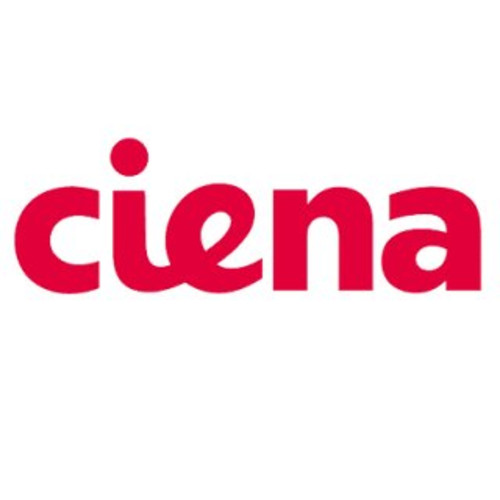 Аксессуар для сетевого оборудования Ciena NTK507LDE5 (Модуль)