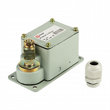 Концевой выключатель ВК-300 БР-11-67У2-23