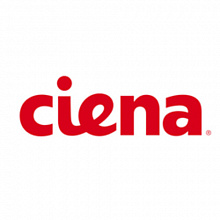 Аксессуар для сетевого оборудования Ciena 178-4100-900 (Модуль)