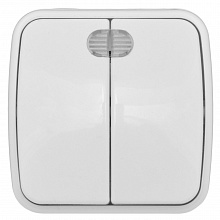 Минск Выключатель 2-клавишный ОП 10А с индикатором белый EKF