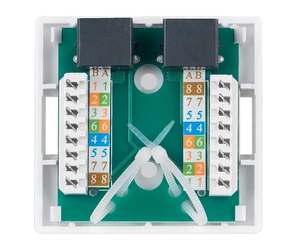 Cabeus WS-8P8C-Cat.5e-2